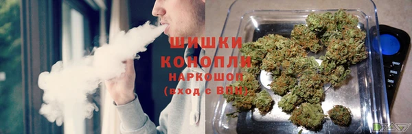 молекула духа Березники