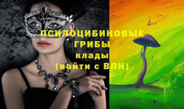 ALPHA PVP Куйбышев