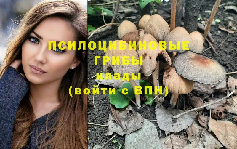 Галлюциногенные грибы Magic Shrooms  Пыталово 