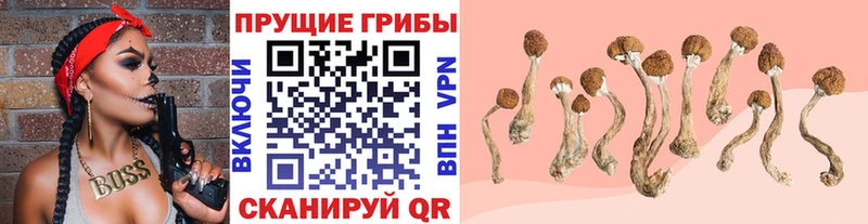 Галлюциногенные грибы GOLDEN TEACHER  закладка  omg ТОР  Пыталово 
